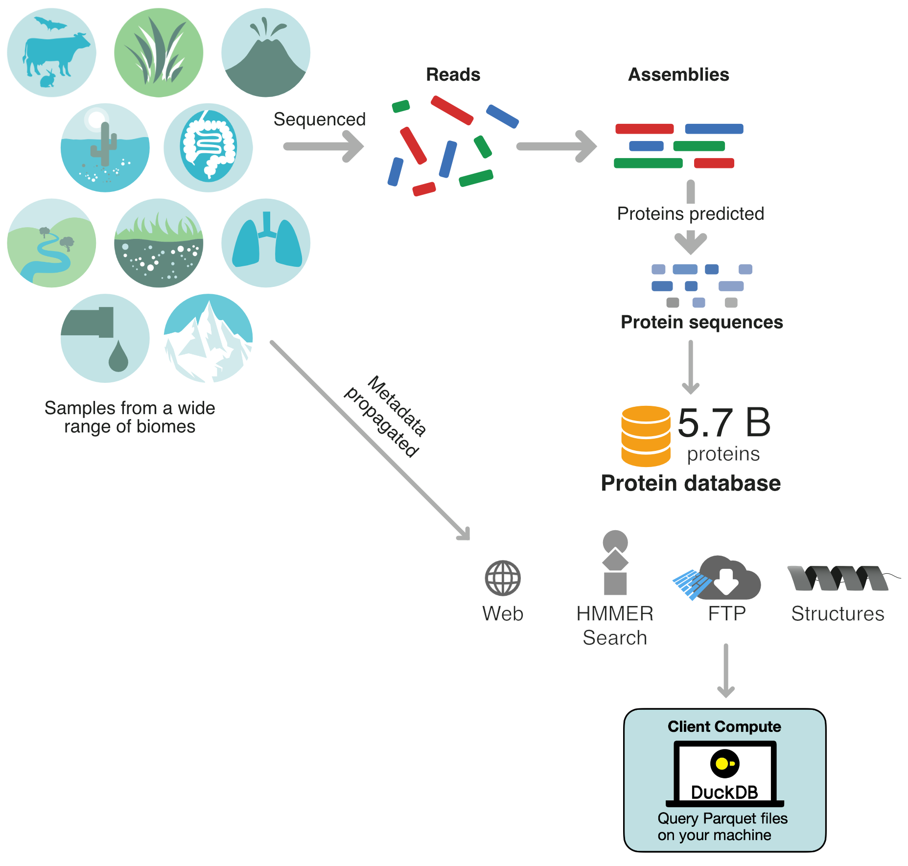 MGnify Proteins growth as of July 2026
